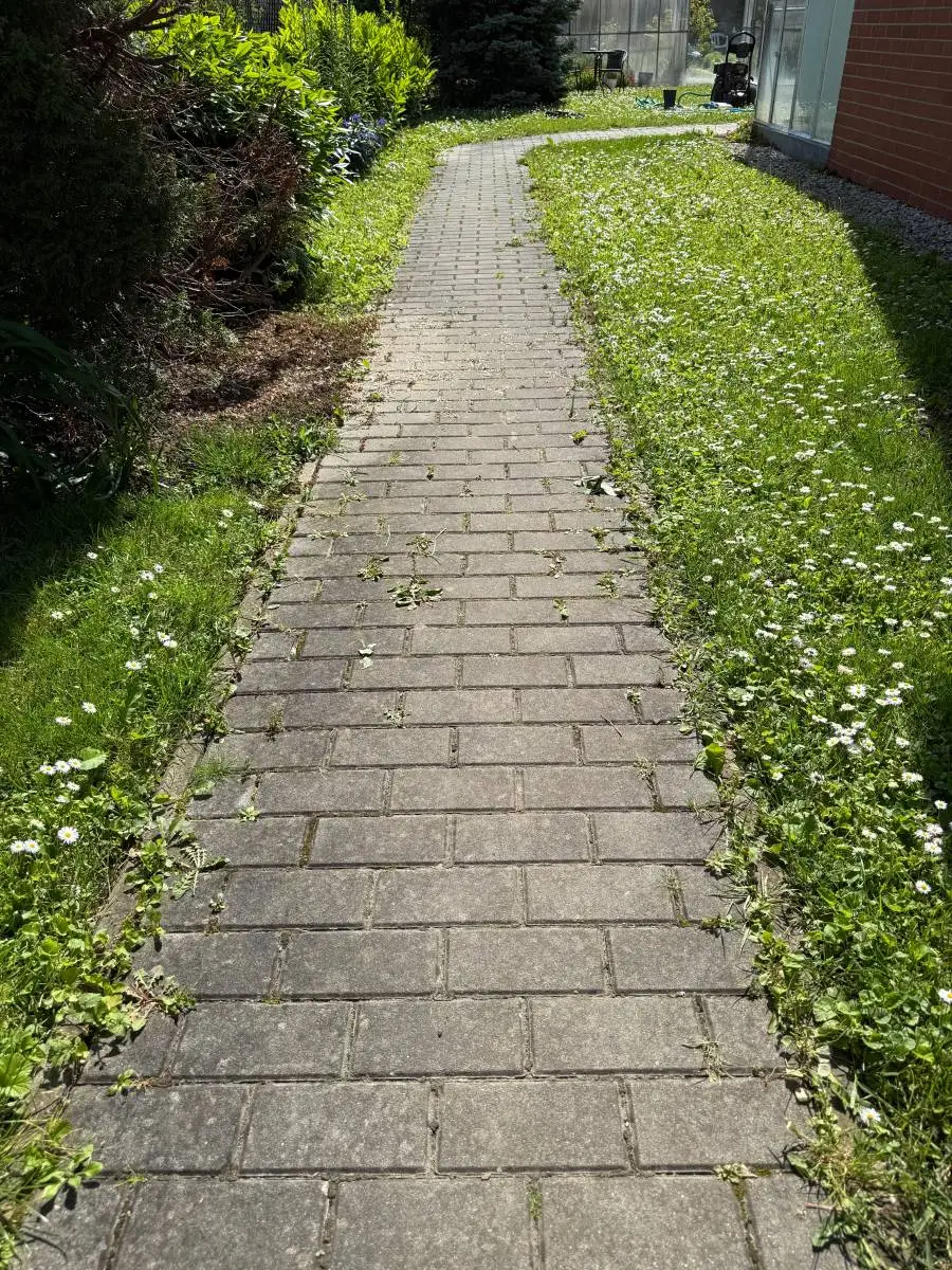 Čistenie dlažby - fotografia realizácie 3